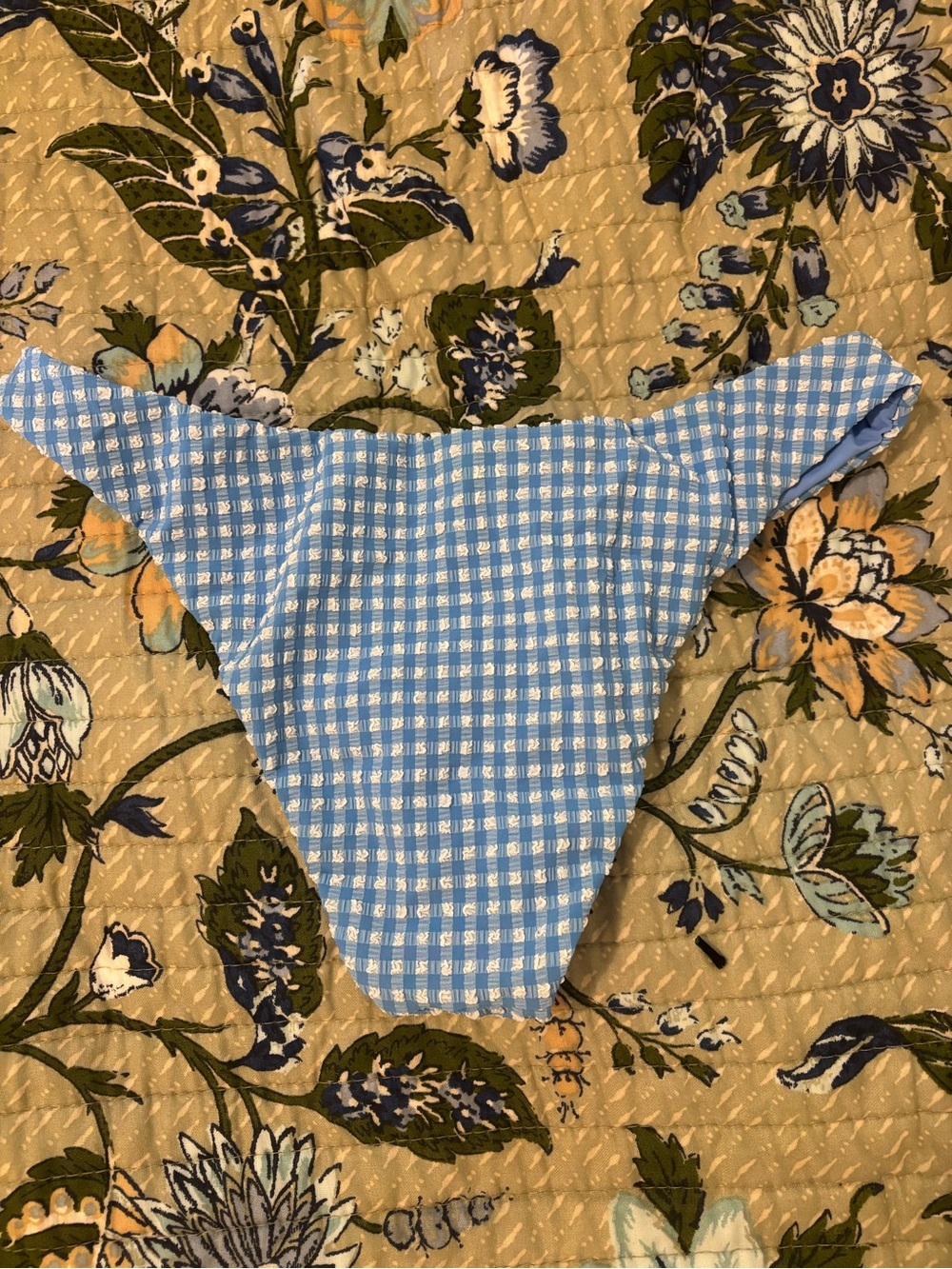 Dippin Daisys Blue Gingham Bikini Bottoms - Picture 4 of 5